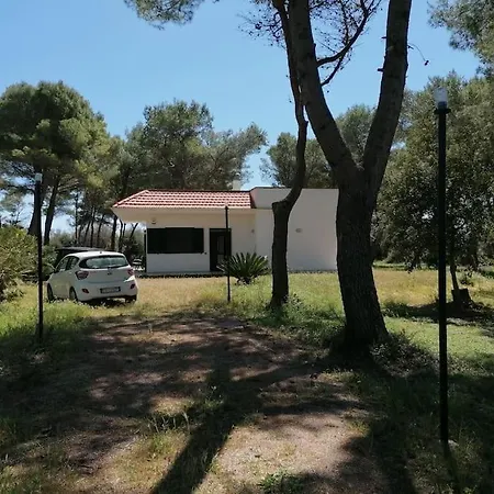 The Shining House Near The Sea *